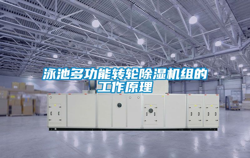 泳池多功能转轮粉色视频免费在线观看组的工作原理