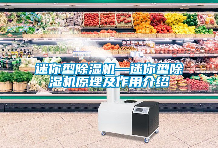 迷你型粉色视频免费在线观看—迷你型粉色视频免费在线观看原理及作用介绍