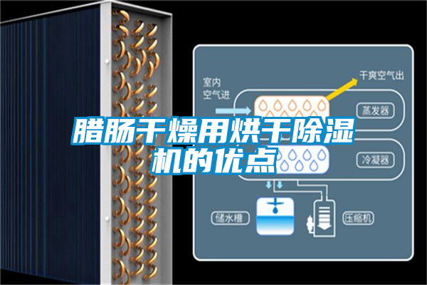 腊肠干燥用烘干粉色视频免费在线观看的优点