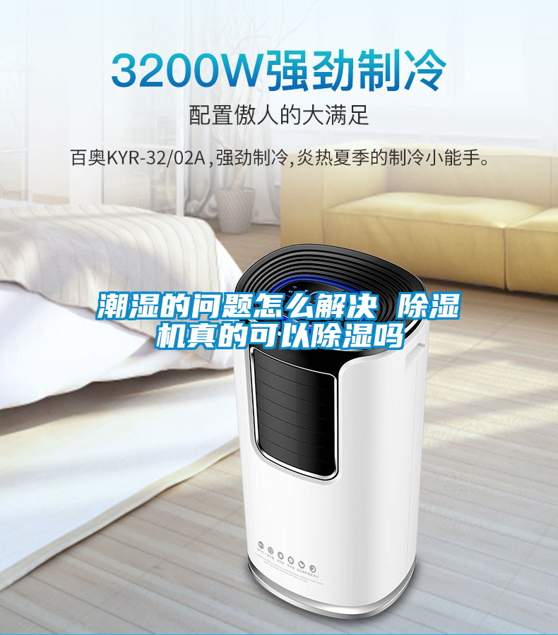 潮湿的问题怎么解决 粉色视频免费在线观看真的可以除湿吗