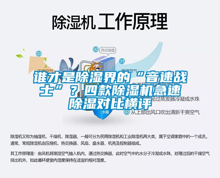 谁才是除湿界的“音速战士”？四款粉色视频免费在线观看急速除湿对比横评
