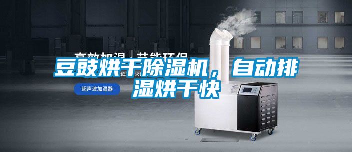 豆豉烘干粉色视频免费在线观看，自动排湿烘干快