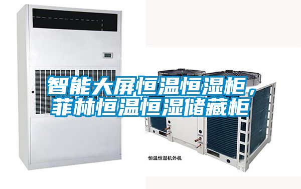 智能大屏恒温恒湿柜，菲林恒温恒湿储藏柜
