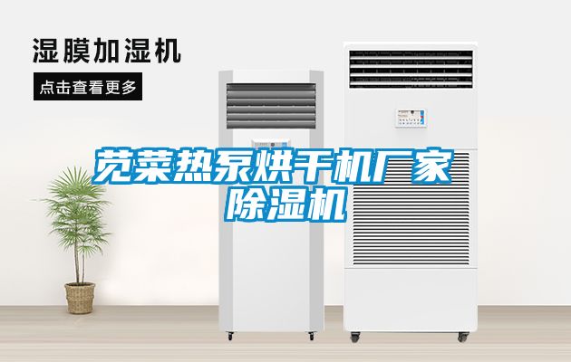 苋菜热泵烘干机厂家 粉色视频免费在线观看