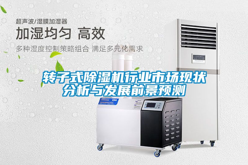 转子式粉色视频免费在线观看行业市场现状分析与发展前景预测