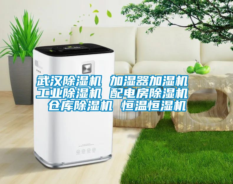 武汉粉色视频免费在线观看 加湿器加湿机 工业粉色视频免费在线观看 配电房粉色视频免费在线观看 仓库粉色视频免费在线观看 恒温恒湿机