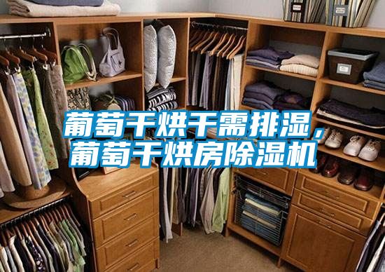 葡萄干烘干需排湿，葡萄干烘房粉色视频免费在线观看