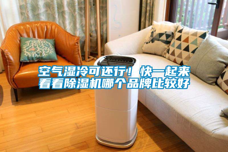空气湿冷可还行！快一起来看看粉色视频免费在线观看哪个品牌比较好