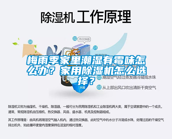 梅雨季家里潮湿有霉味怎么办？家用粉色视频免费在线观看怎么选择？