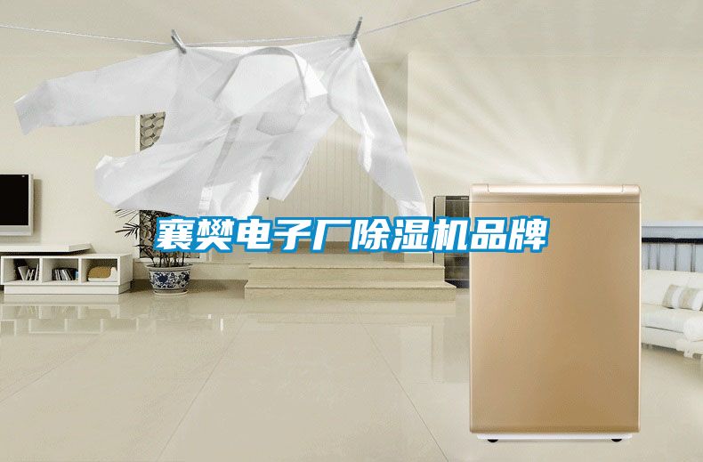 襄樊电子厂粉色视频免费在线观看品牌