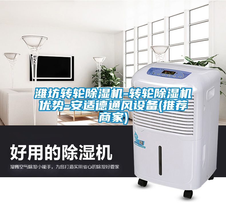 潍坊转轮粉色视频免费在线观看-转轮粉色视频免费在线观看优势-安适德通风设备(推荐商家)