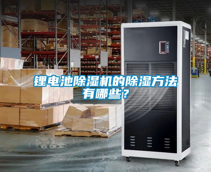 锂电池粉色视频免费在线观看的除湿方法有哪些？