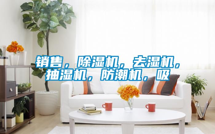 销售，粉色视频免费在线观看，去湿机，抽湿机，防潮机，吸