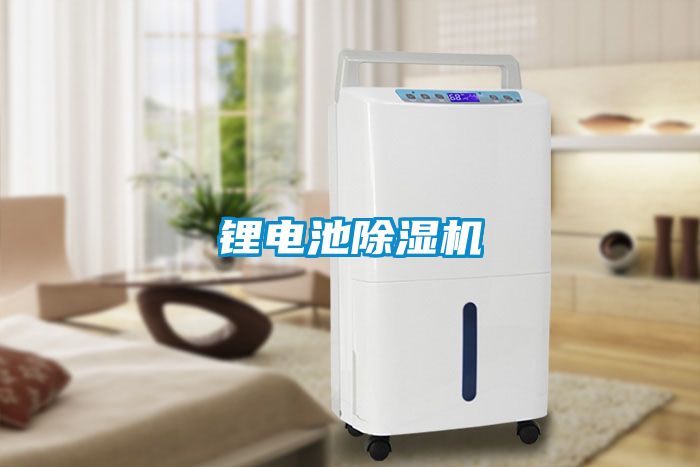 锂电池粉色视频免费在线观看