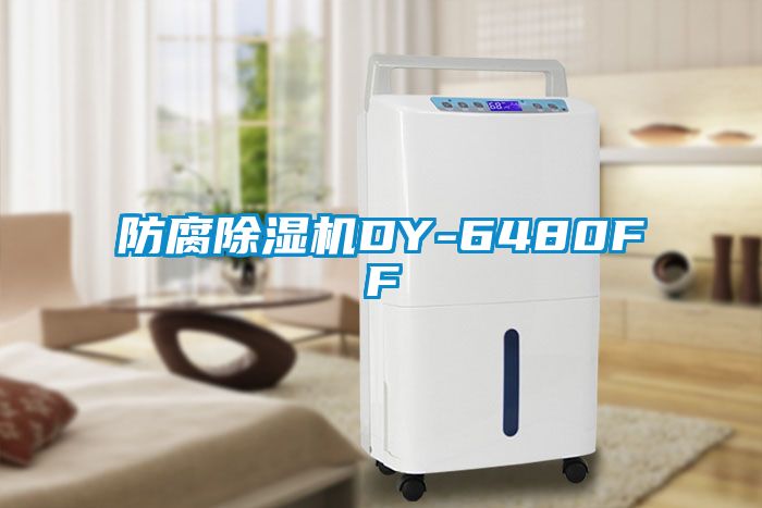 防腐粉色视频免费在线观看DY-6480FF