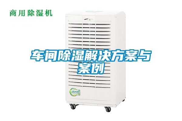 车间除湿粉色视频成人与案例