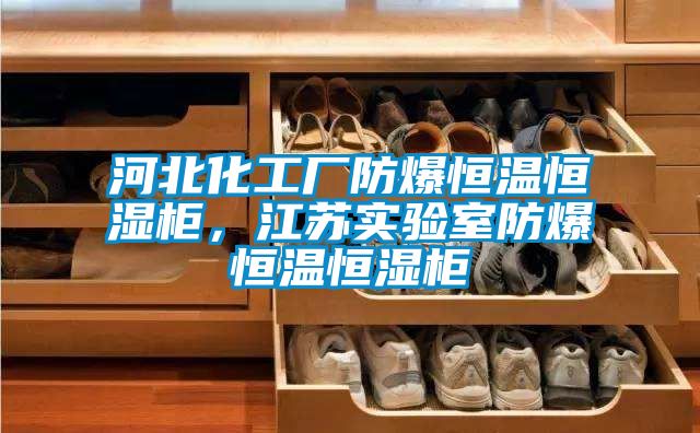 河北化工厂防爆恒温恒湿柜，江苏实验室防爆恒温恒湿柜