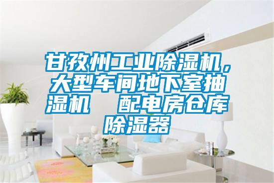 甘孜州工业粉色视频免费在线观看，大型车间地下室抽湿机  配电房仓库除湿器
