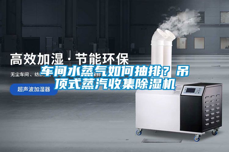 车间水蒸气如何抽排？吊顶式蒸汽收集粉色视频免费在线观看