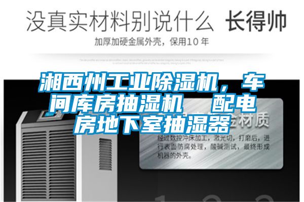 湘西州工业粉色视频免费在线观看，车间库房抽湿机  配电房地下室抽湿器