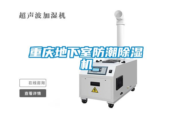重庆地下室防潮粉色视频免费在线观看