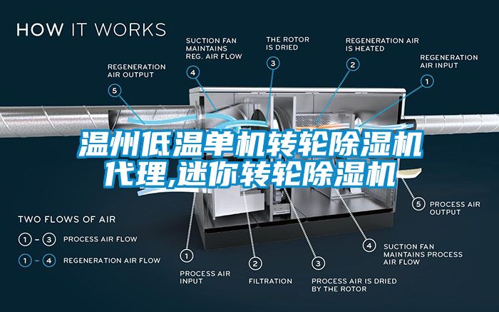 温州低温单机转轮粉色视频免费在线观看代理,迷你转轮粉色视频免费在线观看