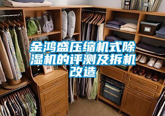 金鸿盛压缩机式粉色视频免费在线观看的评测及拆机改造