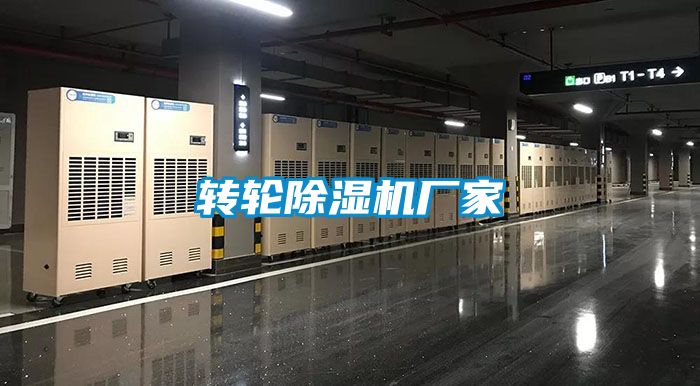 转轮粉色视频免费在线观看厂家
