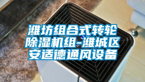 潍坊组合式转轮粉色视频免费在线观看组-潍城区安适德通风设备