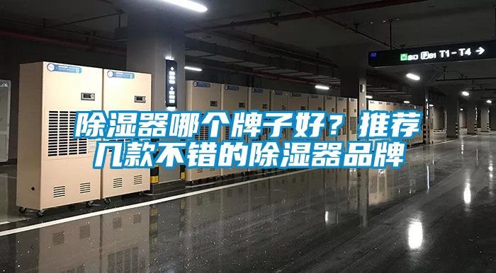 除湿器哪个牌子好？推荐几款不错的除湿器品牌