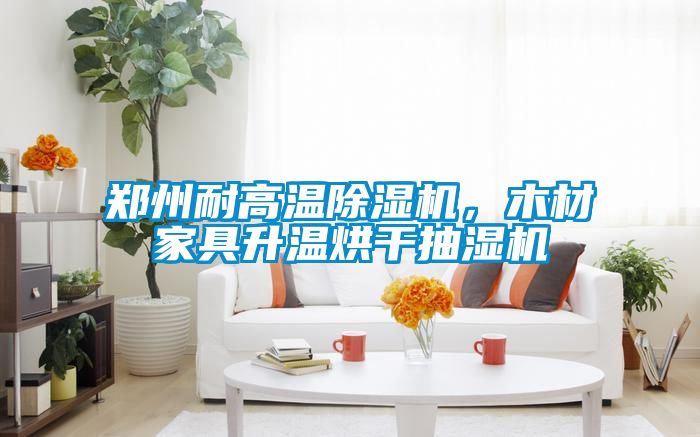 郑州耐高温粉色视频免费在线观看，木材家具升温烘干抽湿机
