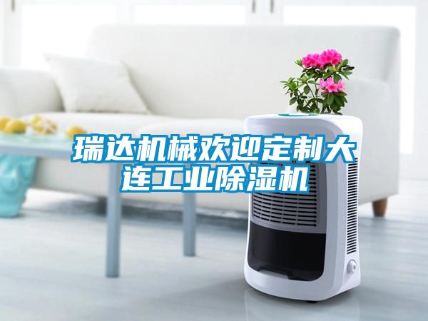 瑞达机械欢迎定制大连工业粉色视频免费在线观看