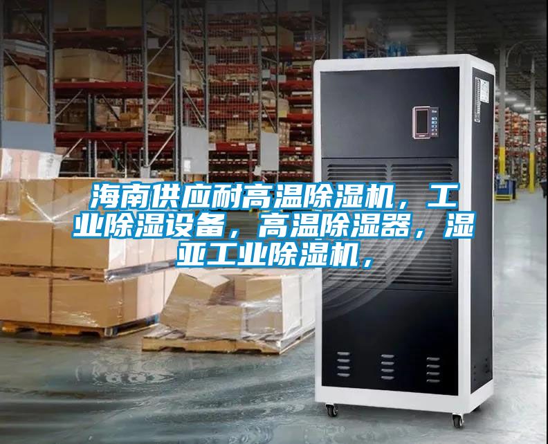 海南供应耐高温粉色视频免费在线观看，工业除湿设备，高温除湿器，湿亚工业粉色视频免费在线观看，