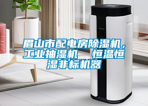 眉山市配电房粉色视频免费在线观看，工业抽湿机  恒温恒湿非标机器