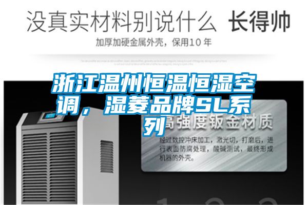 浙江温州恒温恒湿空调，湿菱品牌SL系列