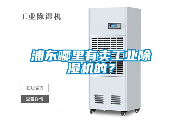 浦东哪里有卖工业粉色视频免费在线观看的？