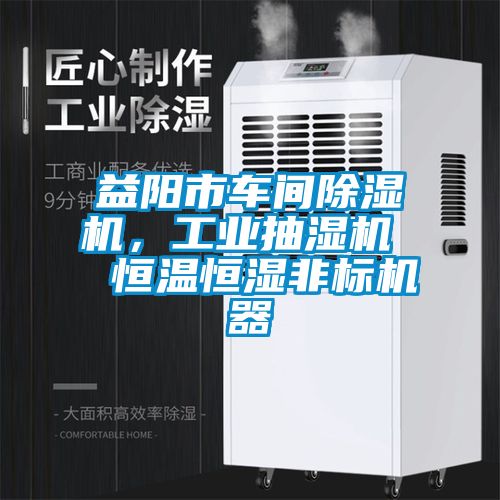 益阳市车间粉色视频免费在线观看，工业抽湿机  恒温恒湿非标机器
