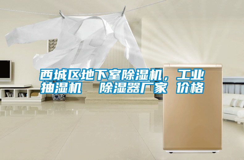 西城区地下室粉色视频免费在线观看，工业抽湿机  除湿器厂家 价格