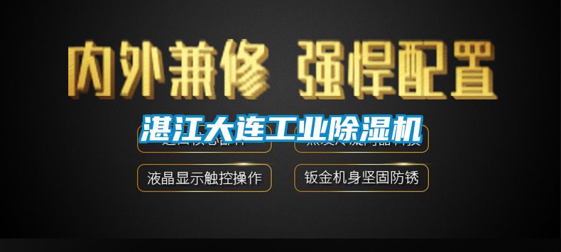 湛江大连工业粉色视频免费在线观看