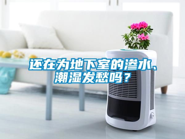 还在为地下室的渗水、潮湿发愁吗？