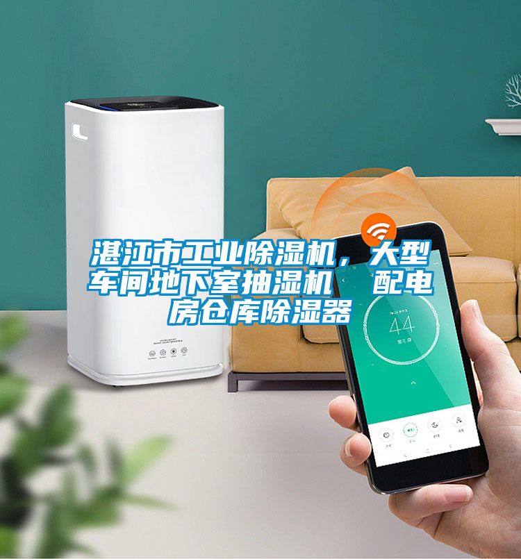 湛江市工业粉色视频免费在线观看，大型车间地下室抽湿机  配电房仓库除湿器
