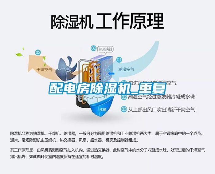 配电房粉色视频免费在线观看_重复
