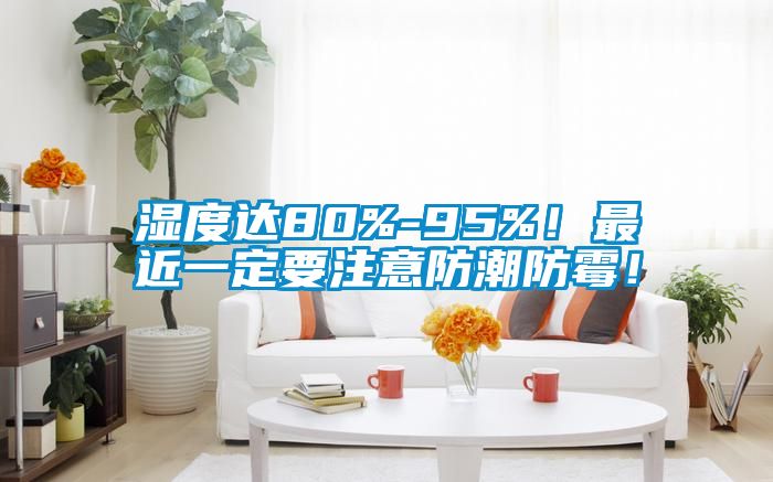 湿度达80%-95%！最近一定要注意防潮防霉！