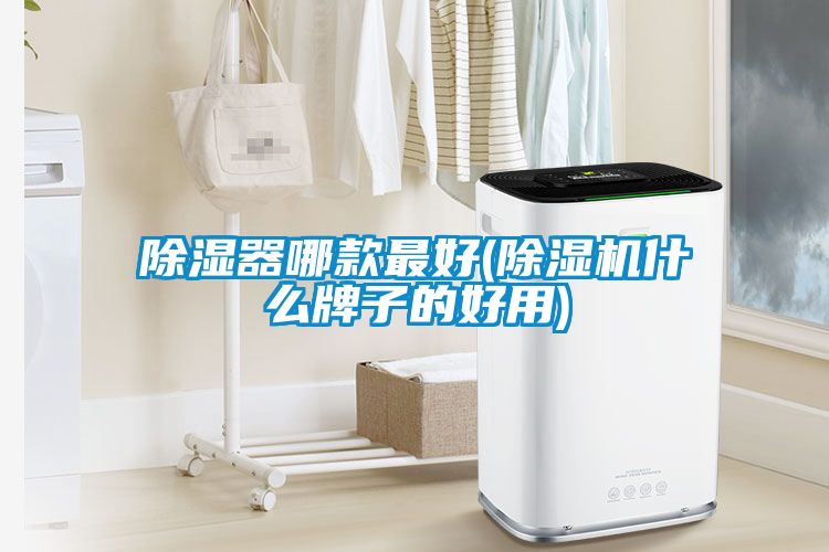 除湿器哪款最好(粉色视频免费在线观看什么牌子的好用)