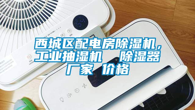 西城区配电房粉色视频免费在线观看，工业抽湿机  除湿器厂家 价格