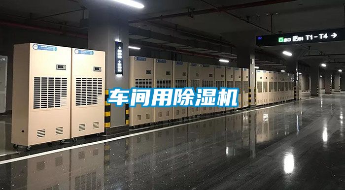 车间用粉色视频免费在线观看