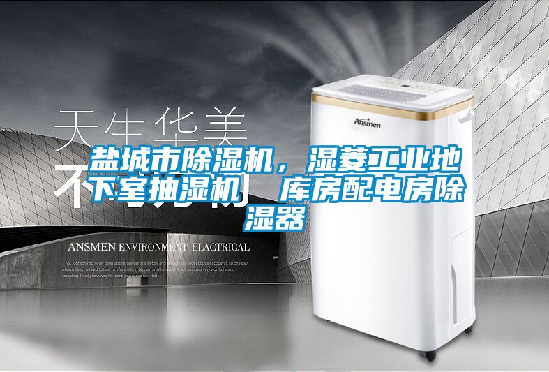 盐城市粉色视频免费在线观看，湿菱工业地下室抽湿机  库房配电房除湿器