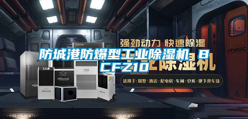 防城港防爆型工业粉色视频免费在线观看 BCFZ10