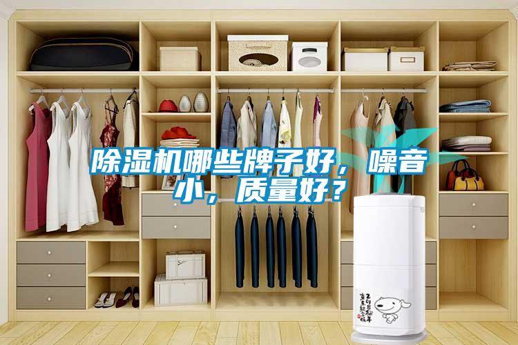 粉色视频免费在线观看哪些牌子好，噪音小，质量好？