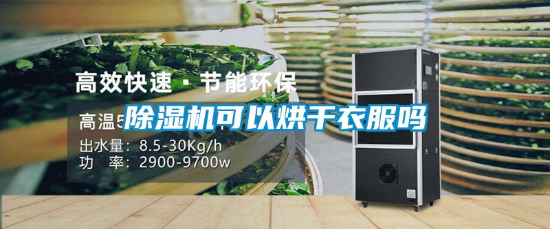 粉色视频免费在线观看可以烘干衣服吗